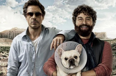 Nou proiect pentru Robert Downey Jr. due date 460x301 Nou proiect pentru Robert Downey Jr.