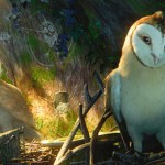legend-of-the-guardians-the-owls-of-gahoole-pictures-2