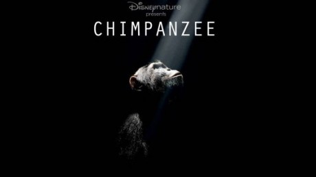Chimpanzee Movie Poster 460x258 [Trailer] Chimpanzee