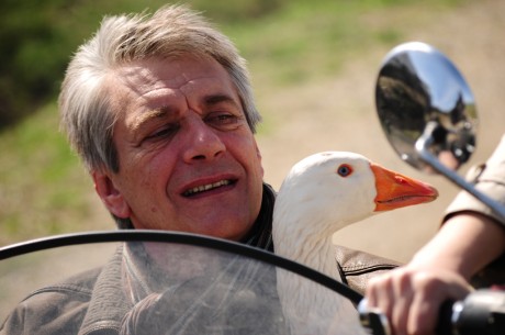 Robert Botto Marcel Iures and the goose 460x305 Tatal fantoma va fi proiectat in Africa de Sud