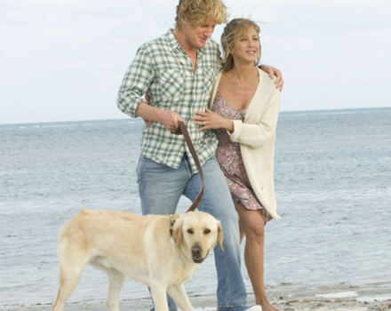 marley and me Marley & Me (2009)