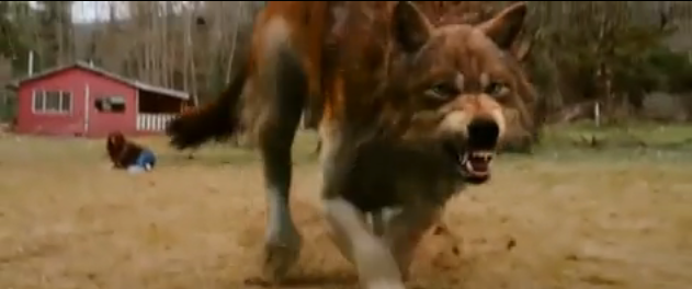 lupii-din-twilight-2 lupii din twilight 2 Trailer Tare, Twilight: New Moon (2009)