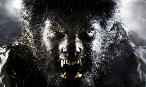 Wolfman_426793a