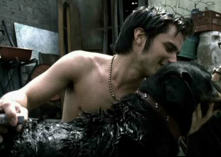 amoresperros1 Amores Perros (2000)