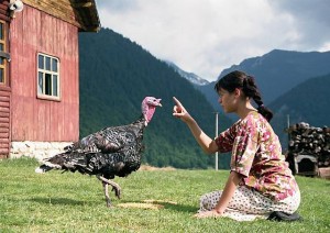 Legenda curcanului zburator 300x212 Amintiri din Epoca de Aur 2 (2009)