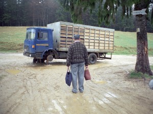 avicola 01 300x224 Amintiri din Epoca de Aur 2 (2009)