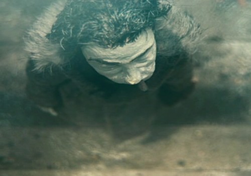 castigator competitie animatie kinofest 2009 anhalter daniel hopfnergermania1 500x350 Si a fost Kinofest 2009