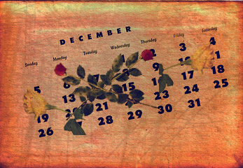 december december Cele mai aşteptate 10 filme ale lunii decembrie