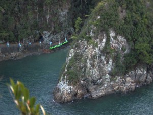 the cove 2 300x225 The Cove (2009)