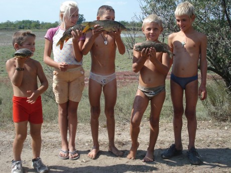 drumul pasarilor 460x345 Copiii Uraniului şi Drumul Păsărilor proiecţii speciale la Elvira Popescu