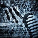 ZZ351EE0D7-550×302
