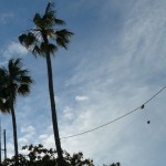 Cannes 2011 Day 1_72