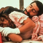 black-cat-white-cat_1