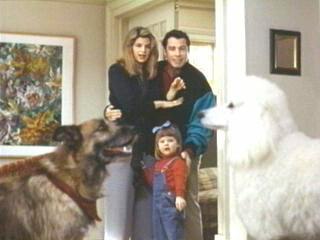 Look who's talking now Look whos talking now (16 – 22 sept) RecomandăriTV