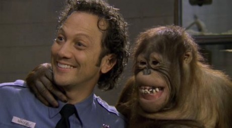 The Animal 460x255 (2 8 sept) RecomandariTV