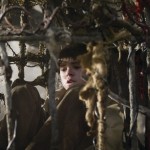 The Spiderwick Chronicles