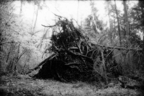 5 walks still 460x308 BIEFF 2011: titluri interesante din zona cinema ului de avangardă 