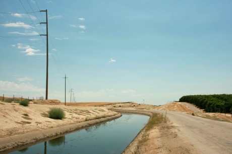 everybodysnutstill1 460x306 BIEFF 2011: titluri interesante din zona cinema ului de avangardă 