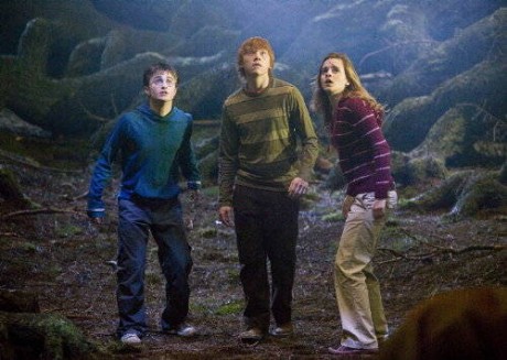 harrypotter5pic30 460x327 23 29 dec:Recomandari TV