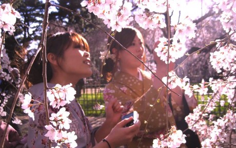 cherryb 460x290 Nominalizările Premiilor Oscar 2012