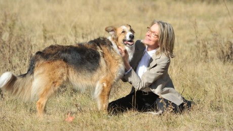 diane keaton darling companion1 460x259 [Trailer] Darling Companion