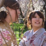 the-tsunami-and-the-cherry-blossom