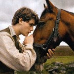 war_horse_3