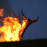 wicker-tree-image