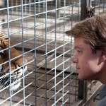 matt-damon_we_bought_a_zoo_image