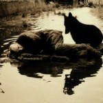 stalker_03