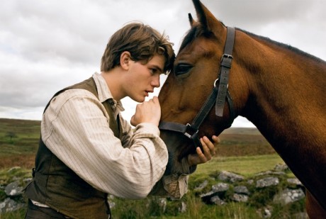 war horse 460x309 Mergi la Hollywood Multiplex!