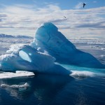 2012_to_the_arctic_3d_008