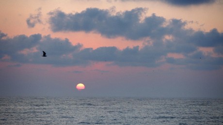 Hello Kitty still 460x258 A doua zi de competiție NexT 2012