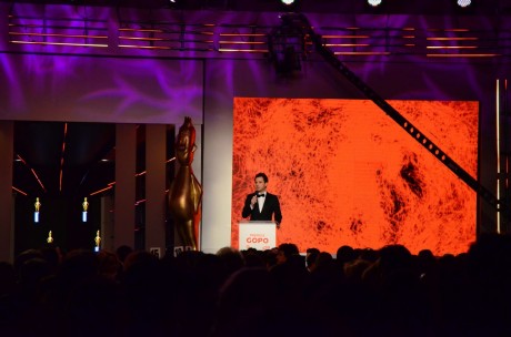 Cum a fost la Premiile Gopo 2012? Poze Premiile Gopo 2012 22 result 460x304 Cum a fost la Premiile Gopo 2012?