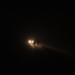 The Wolves_still
