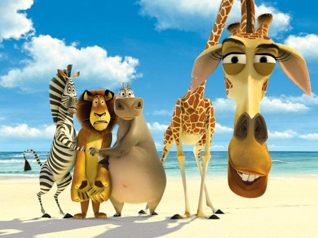 Madagascar 3 va avea premiera mondiala la Cannes 2012 madagascar1 460x345 Madagascar 3 va avea premiera mondiala la Cannes 2012