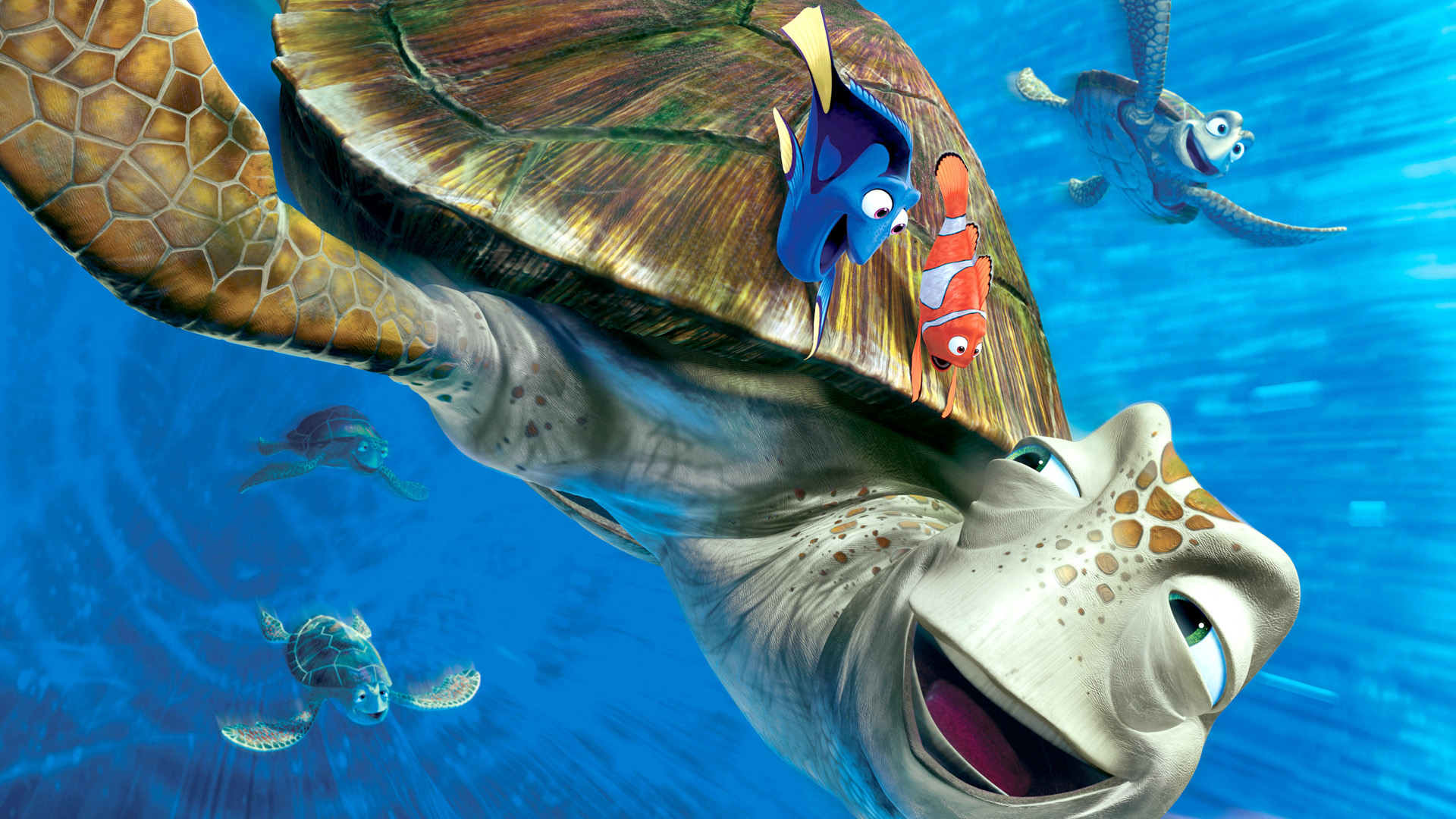 turtles_finding_nemo_clownfish_desktop_1920x1080_wallpaper-293636