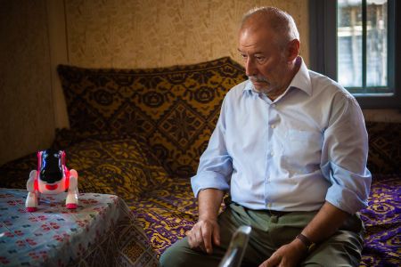 cainele japonez poster