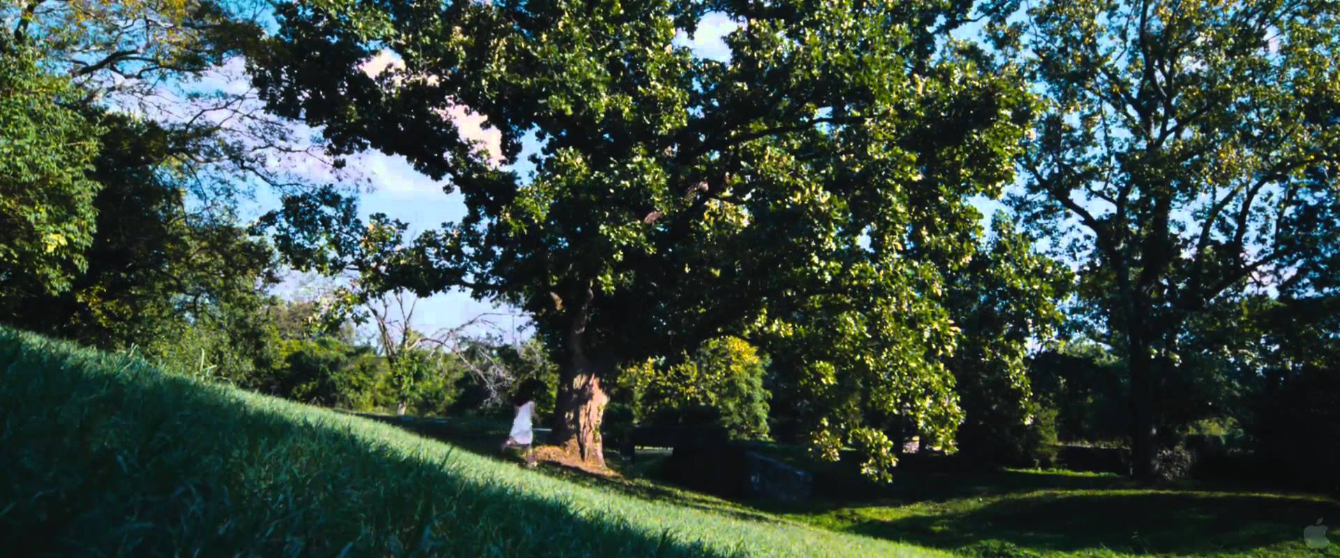 Stoker (2013)