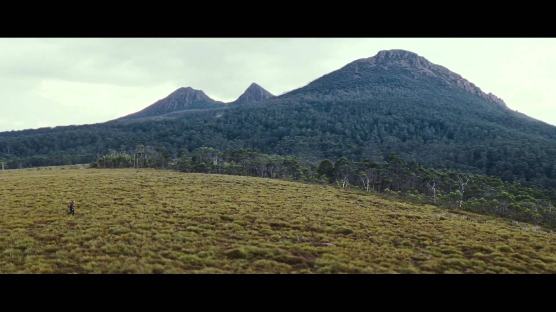 The Hunter (2011)
